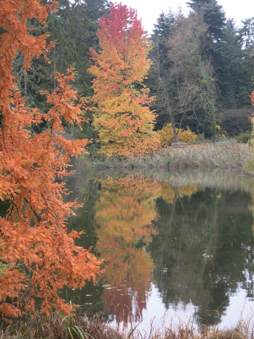 Herbstfarben