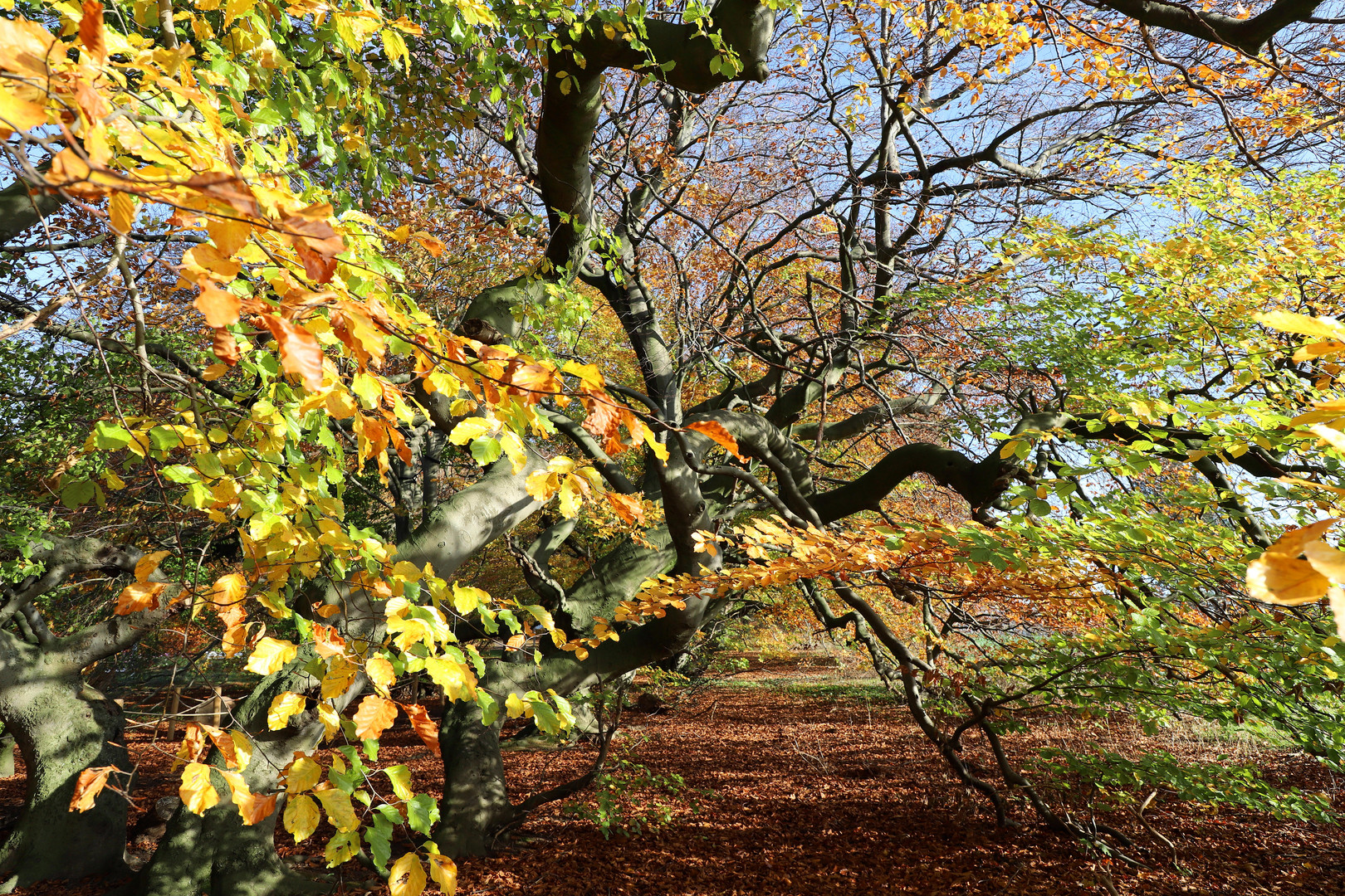 herbstfarben