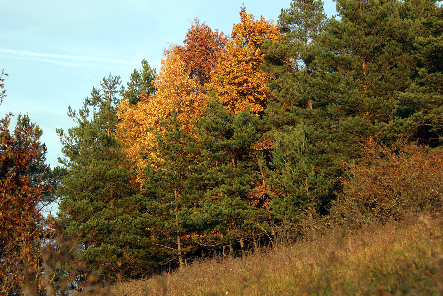 Herbstfarben