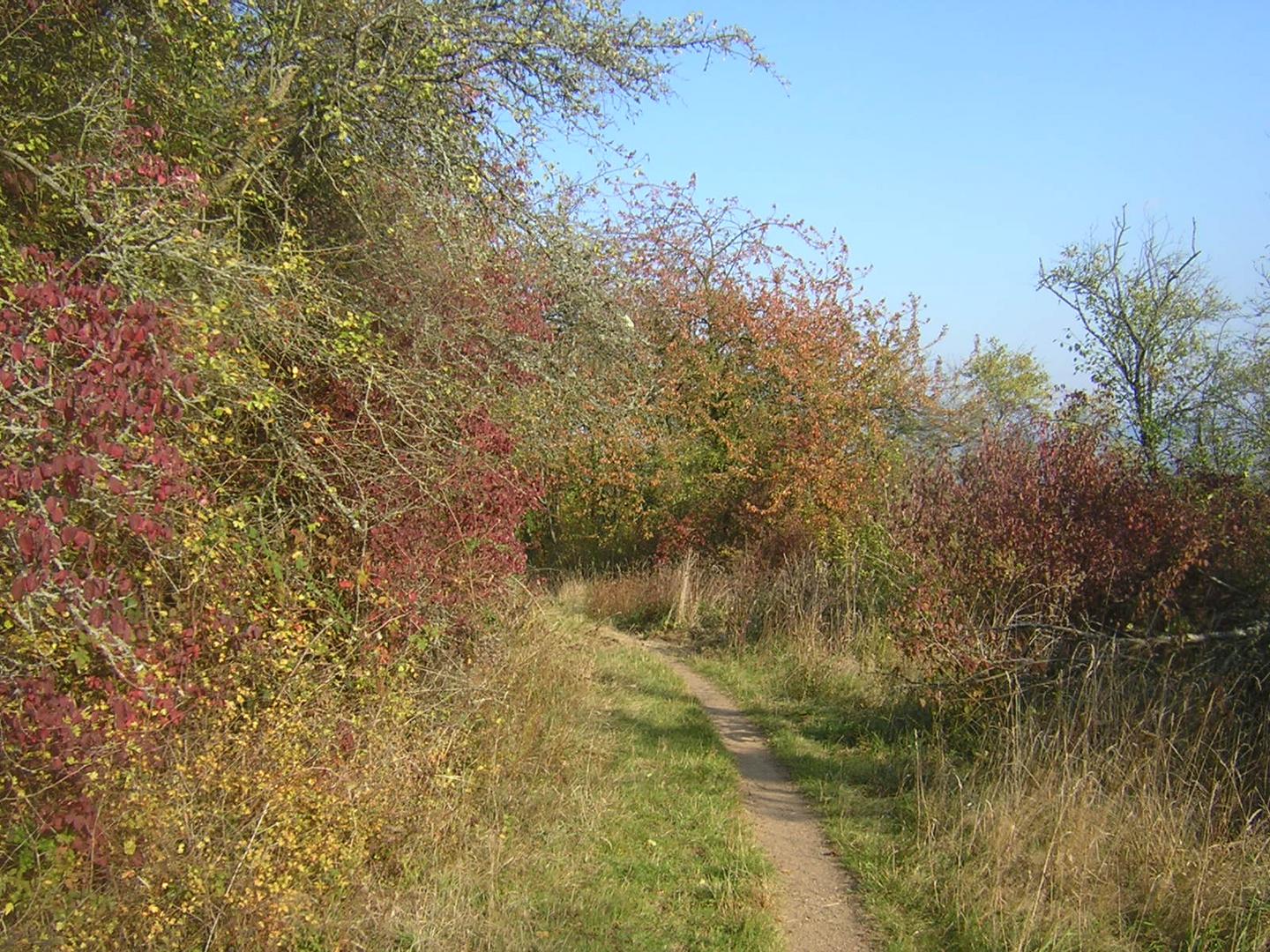 Herbstfarben