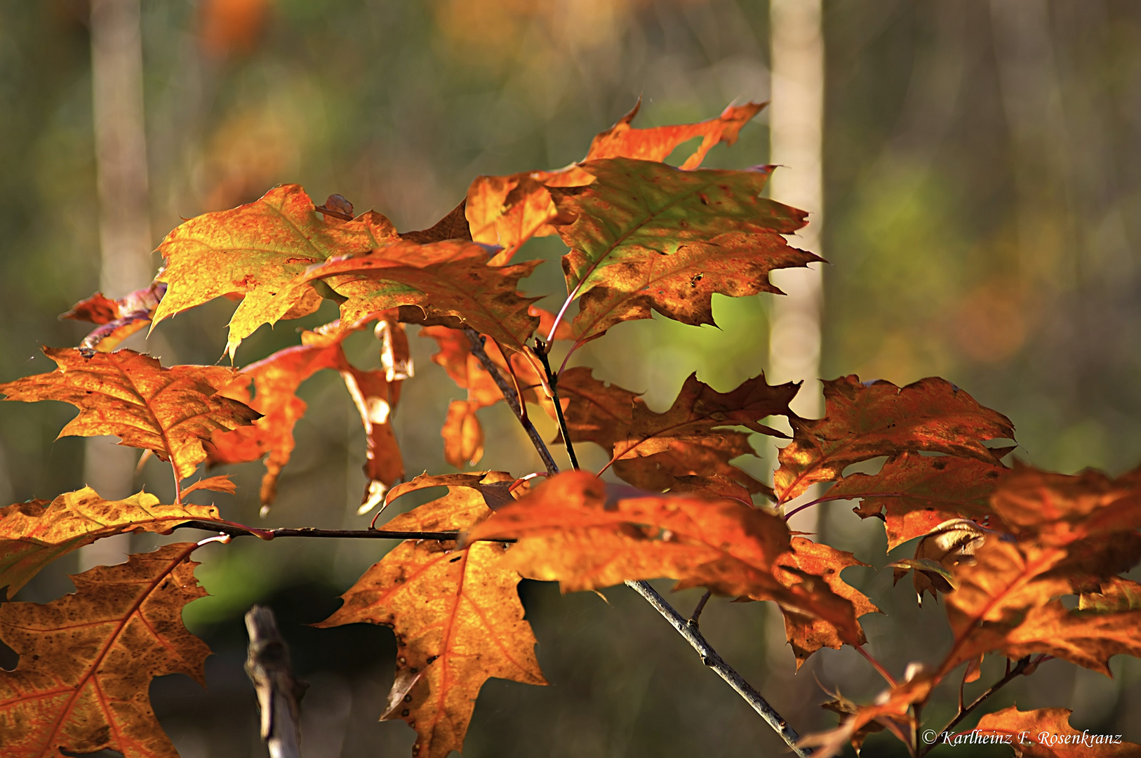 Herbstfarben