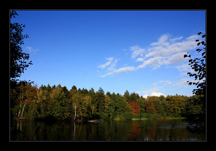 ...Herbstfarben...