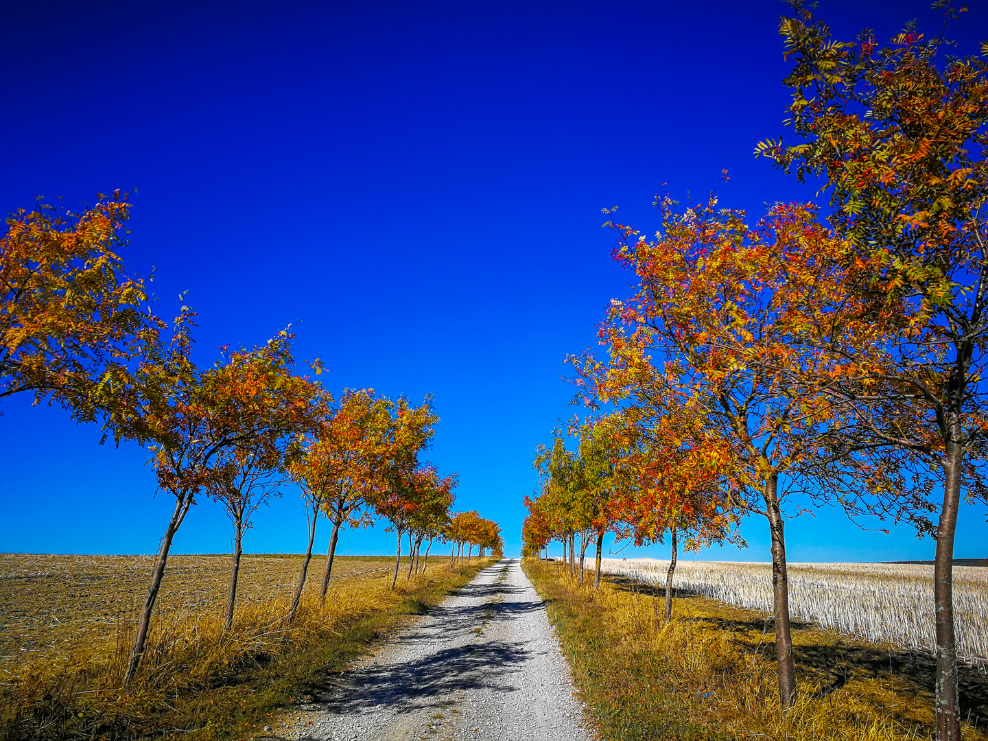 Herbstfarben