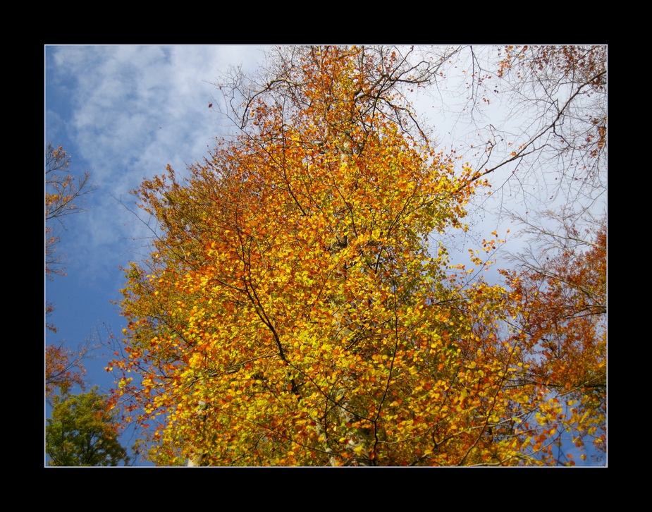 Herbstfarben