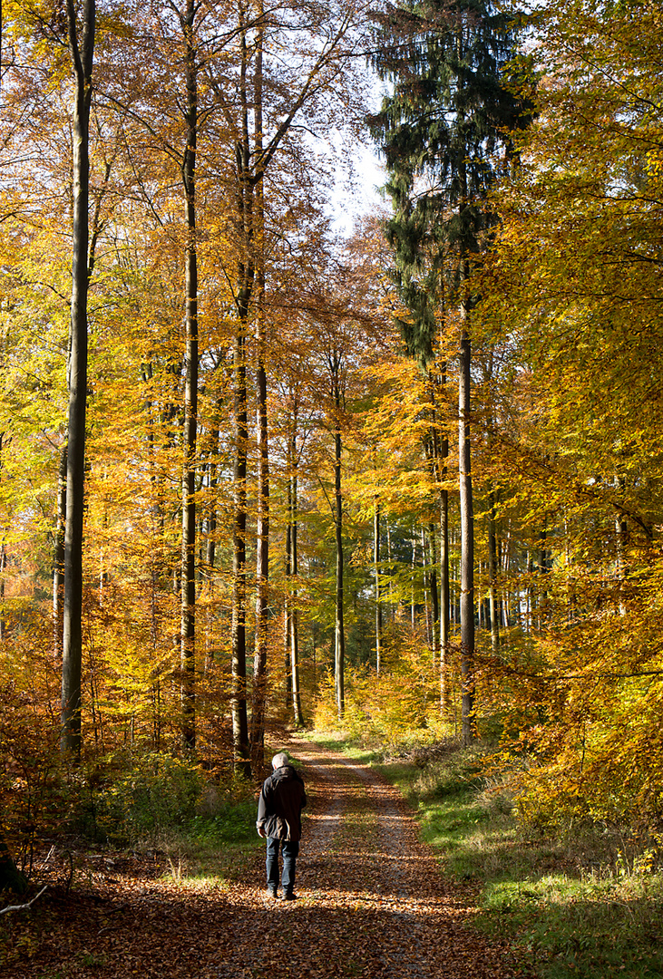 Herbstfarben