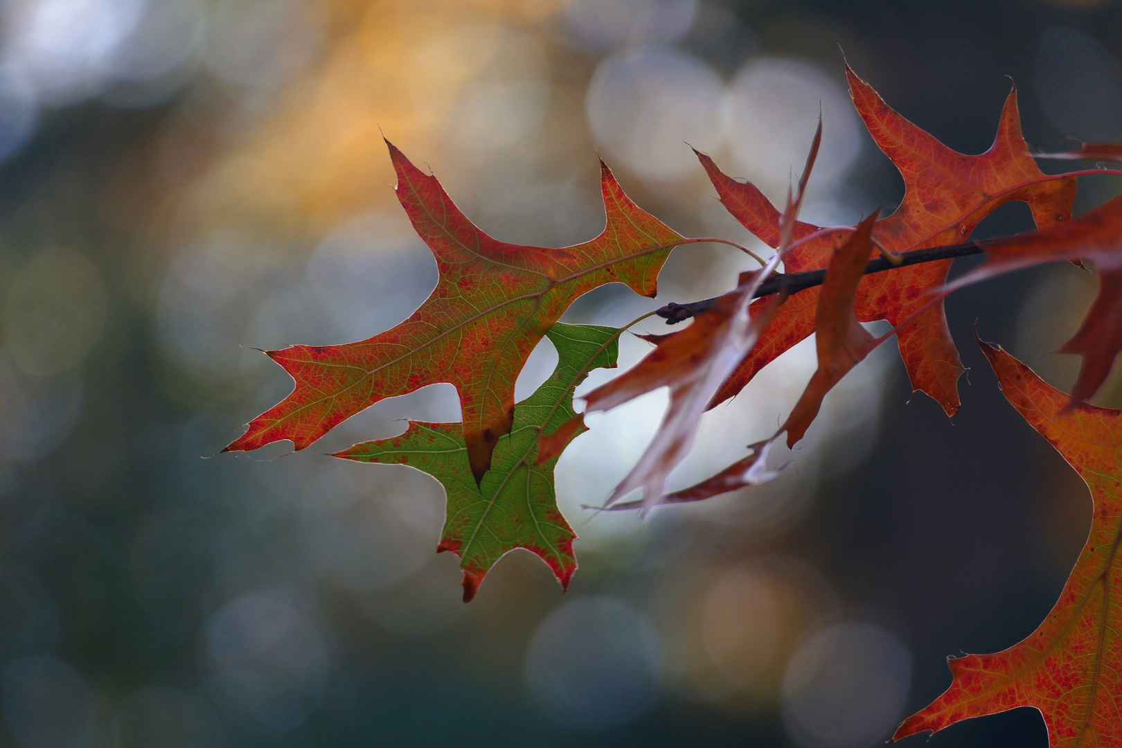 Herbstfarben