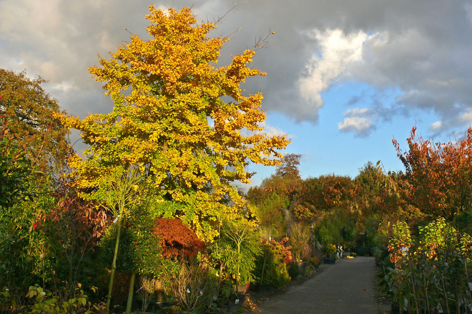 Herbstfarben