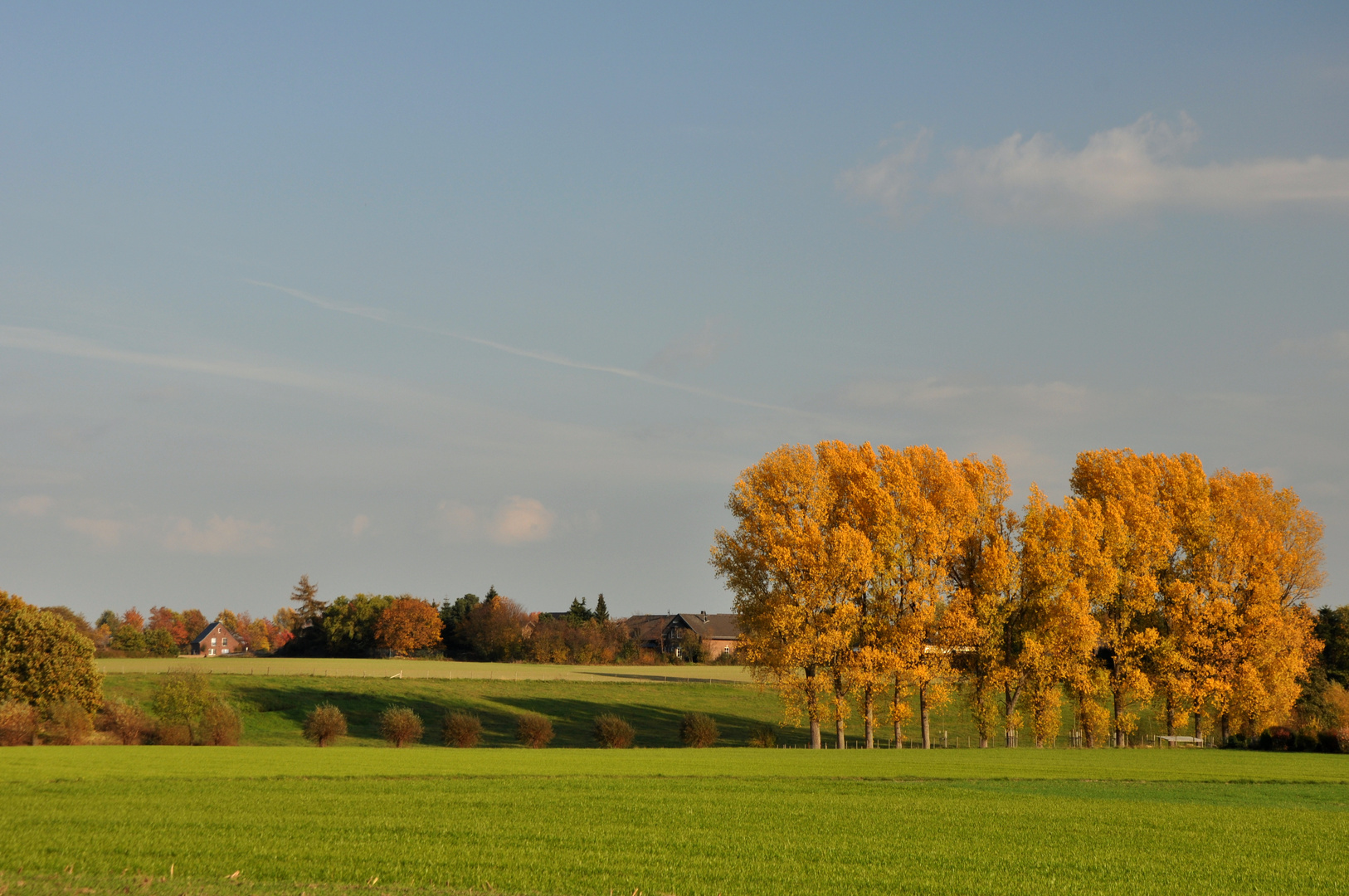 Herbstfarben