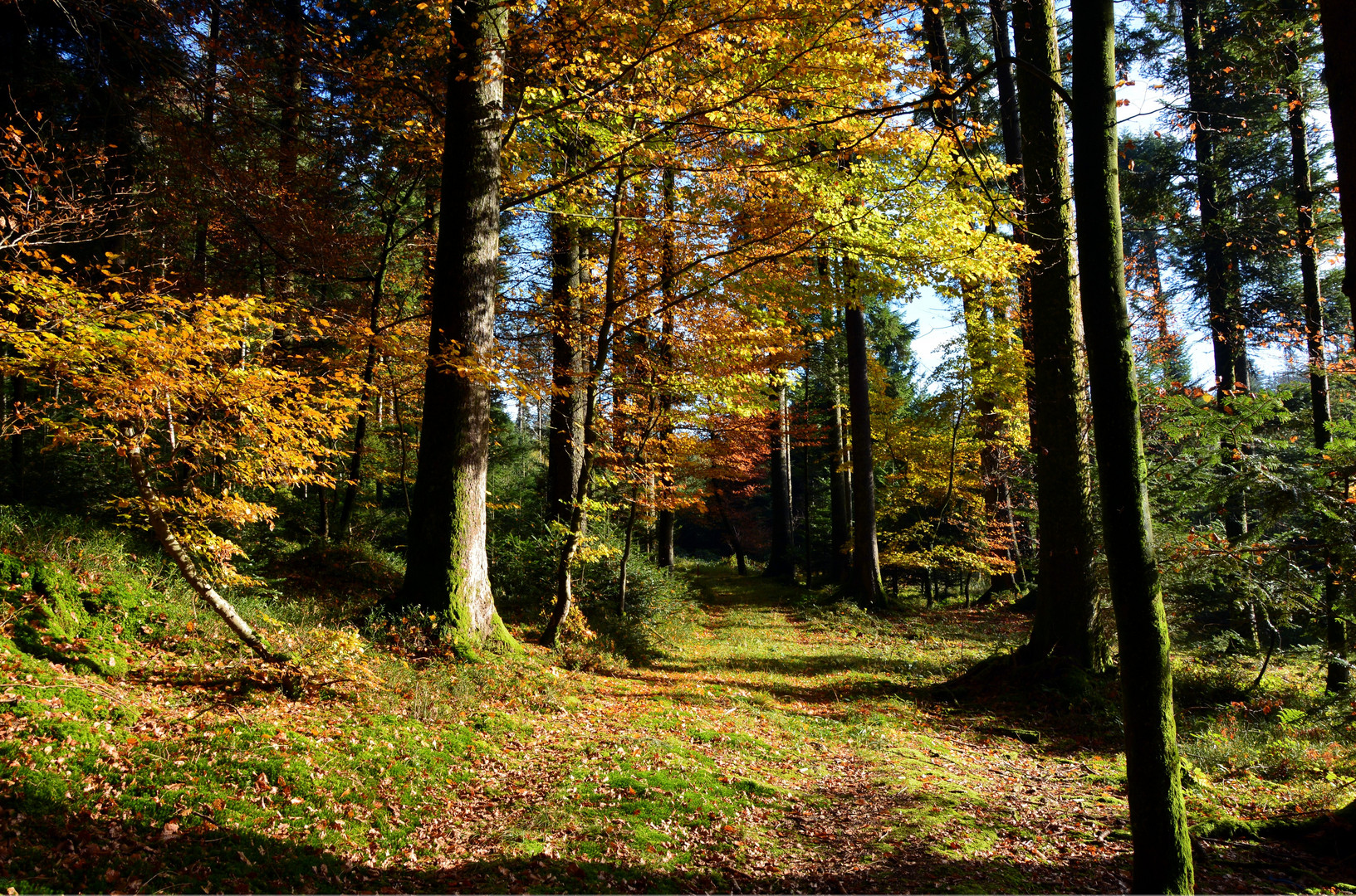 herbstfarben