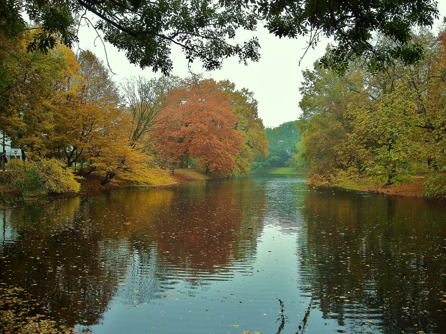 Herbstfarben 8