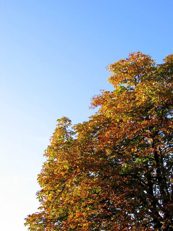 Herbstfarben.