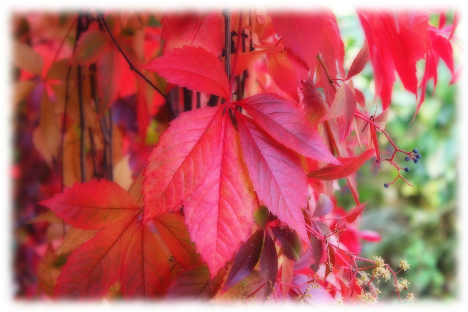 Herbstfarben