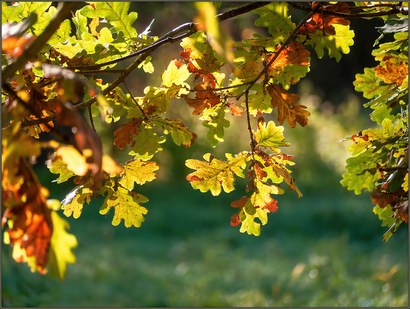 Herbstfarben