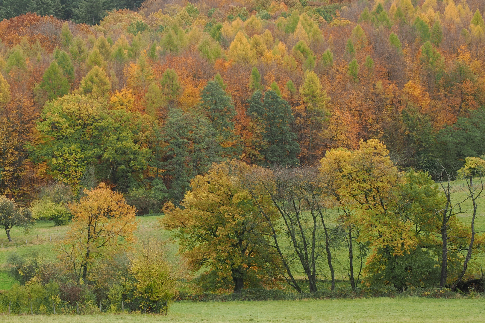 Herbstfarben