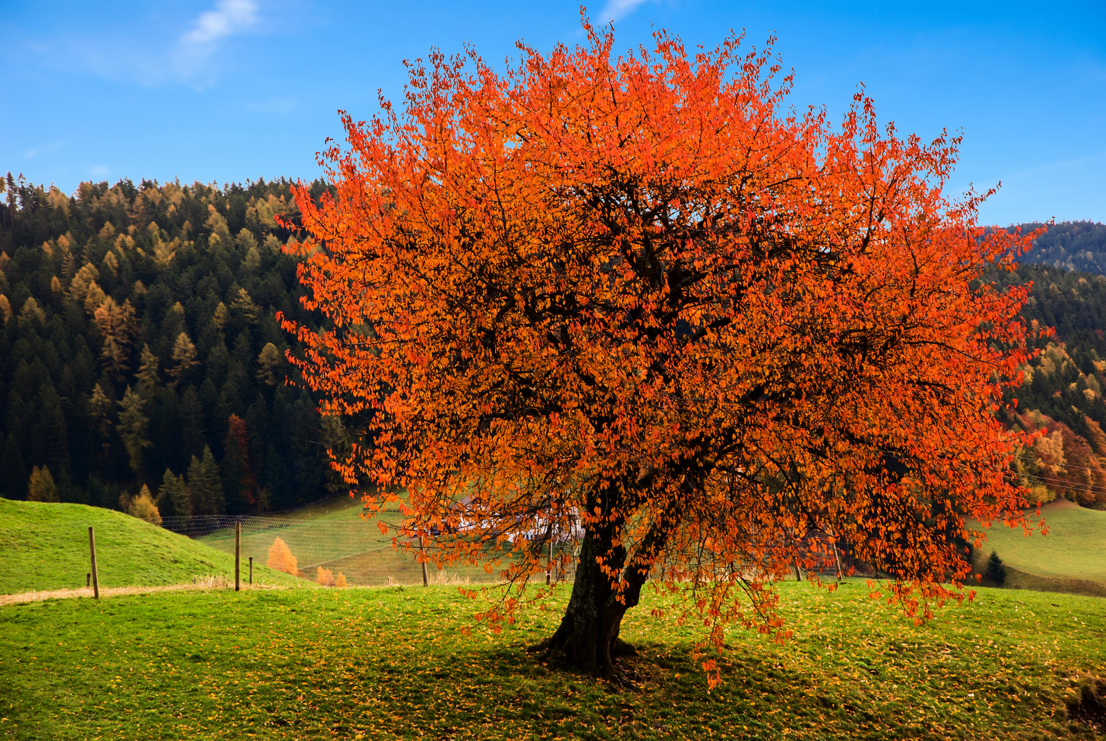 Herbstfarben