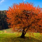 Herbstfarben