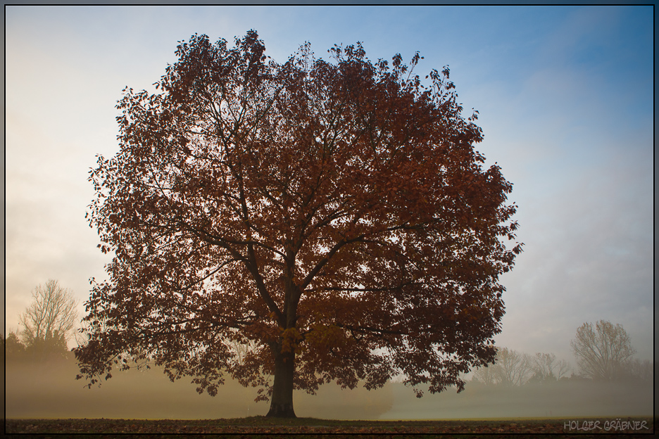 Herbstfarben