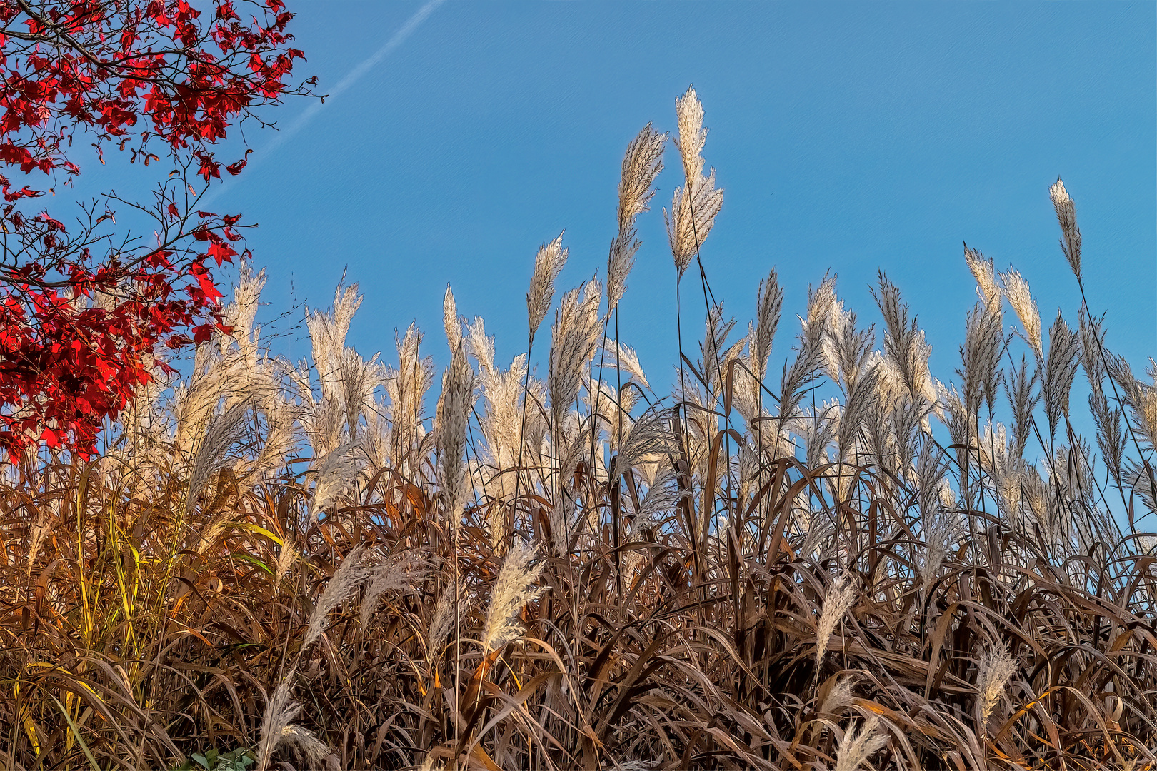 Herbstfarben