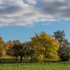 HERBSTFARBEN