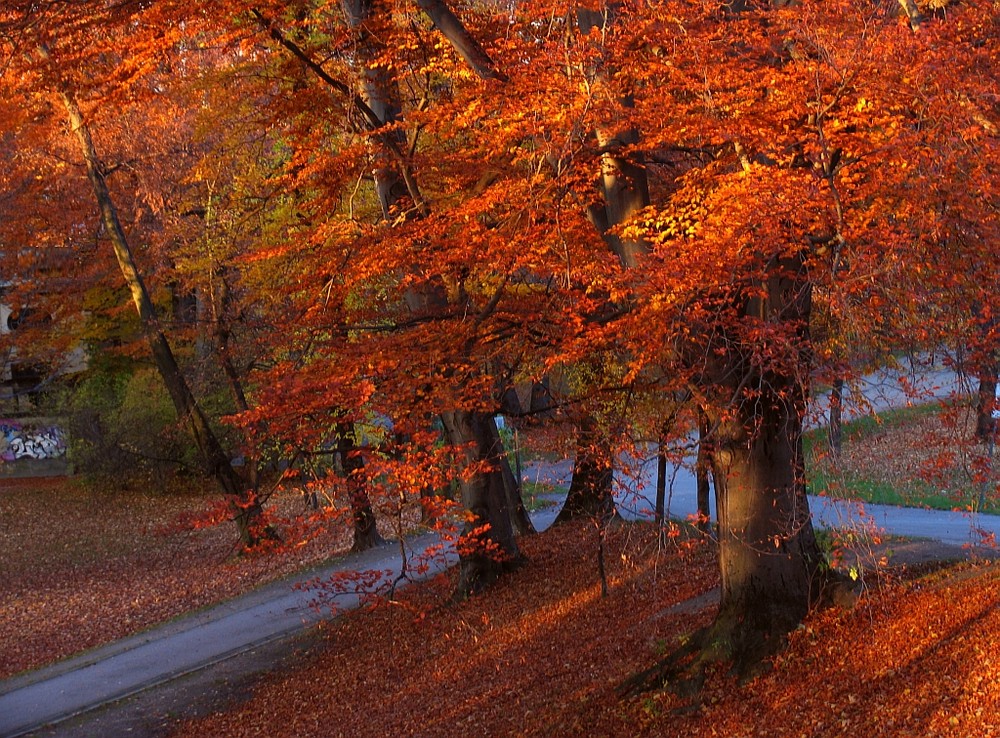 Herbstfarben