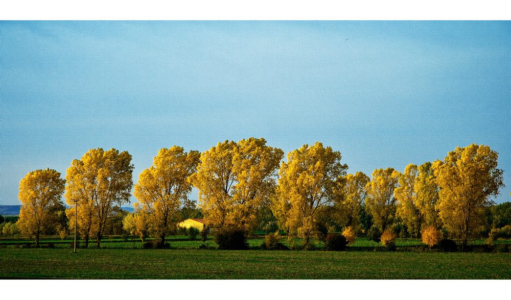 Herbstfarben