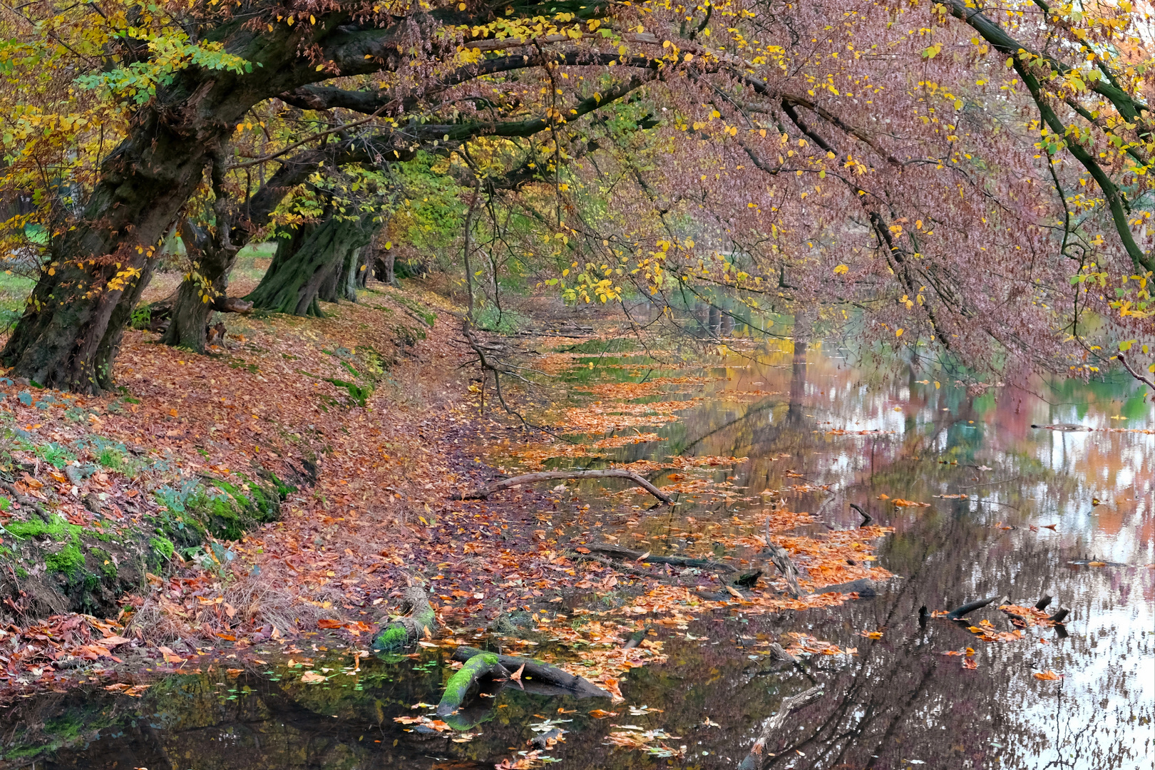 Herbstfarben