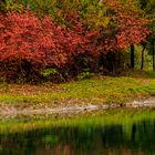 Herbstfarben