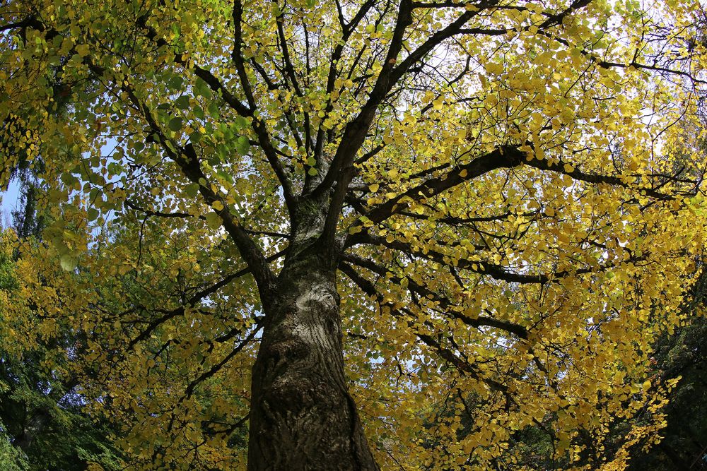 Herbstfarben