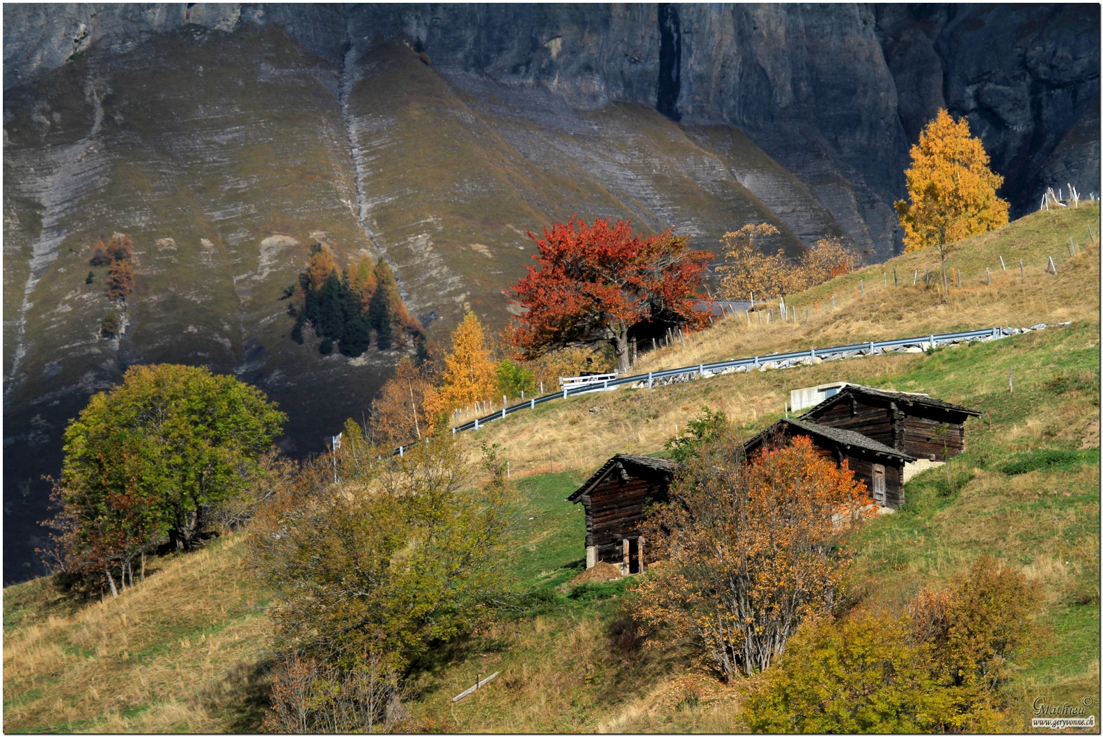 Herbstfarben