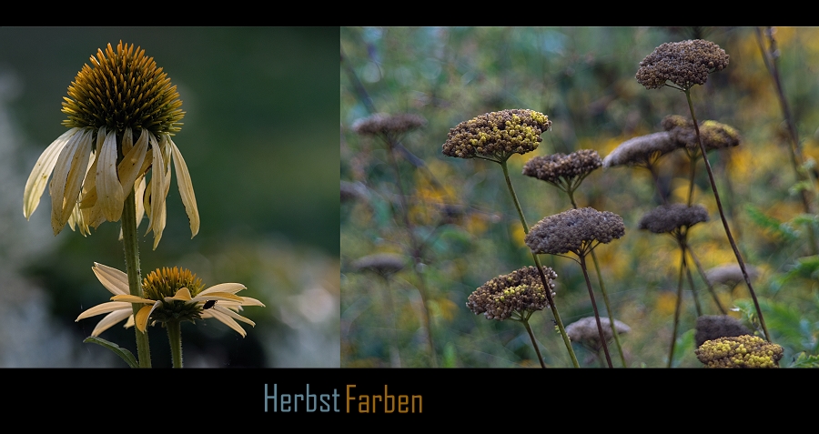 HerbstFarben