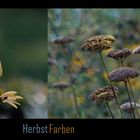 HerbstFarben