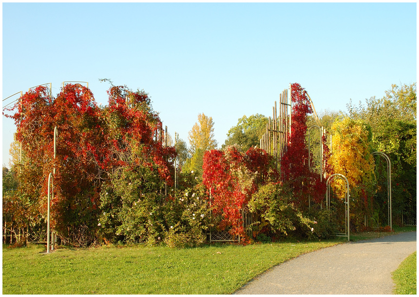 Herbstfarben