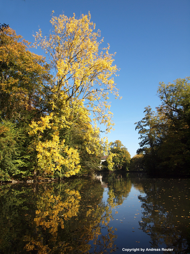 Herbstfarben ...