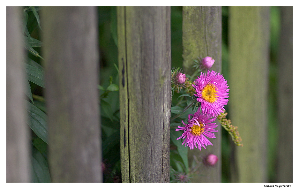 Herbstfarben