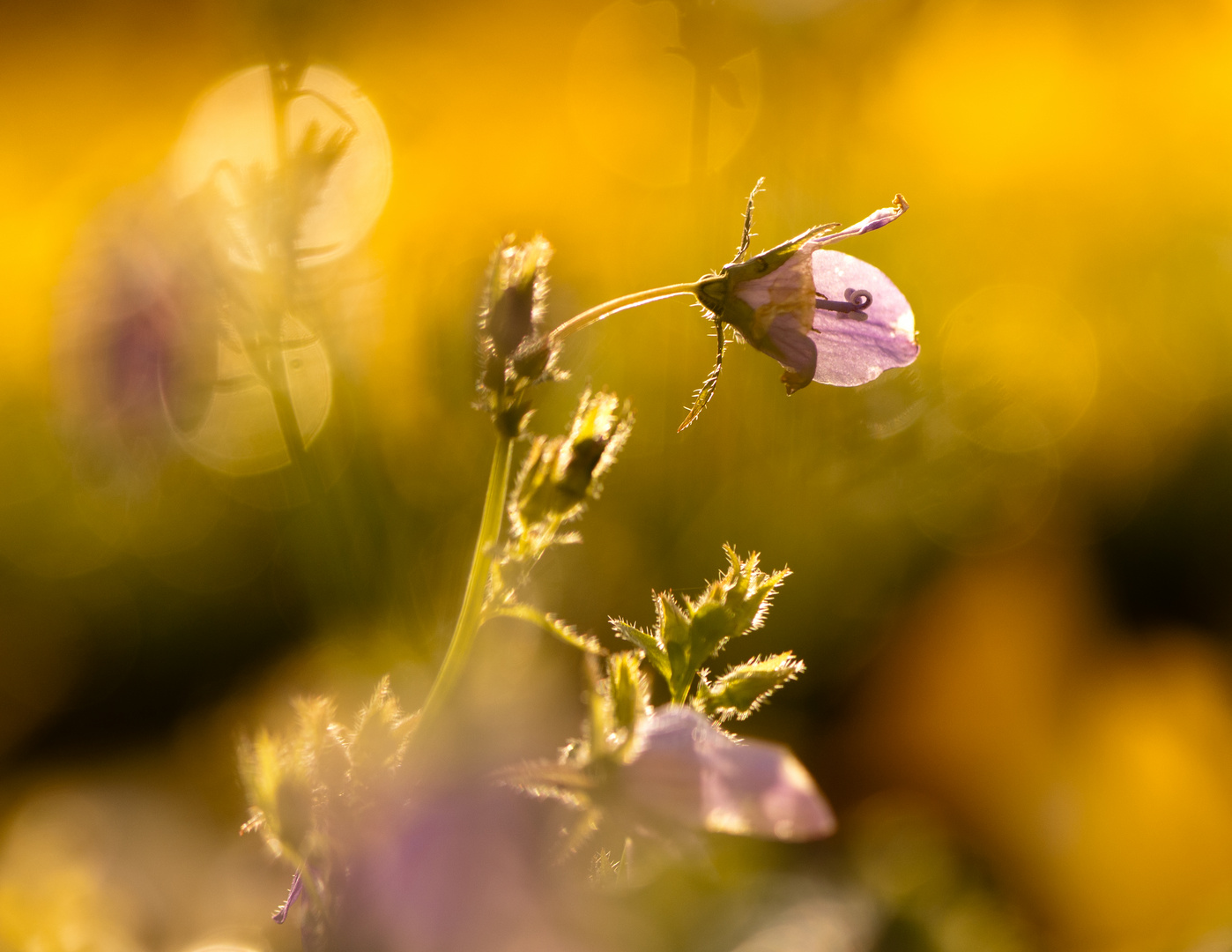 Herbstfarben