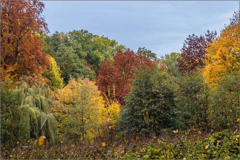 - Herbstfarben -