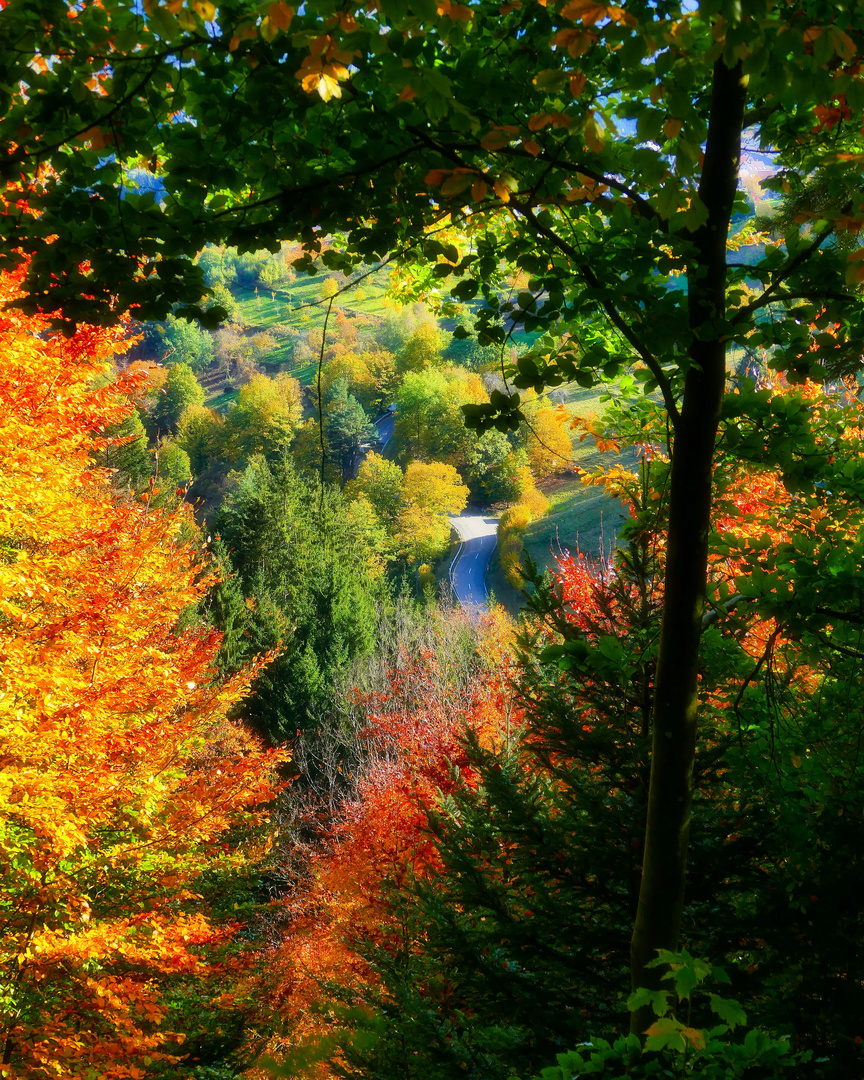 Herbstfarben