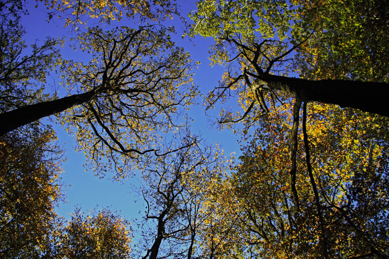 Herbstfarben