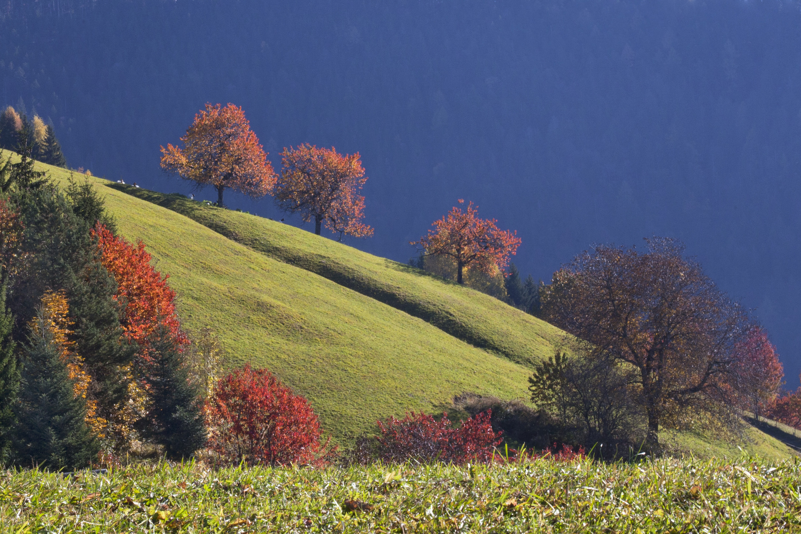 Herbstfarben