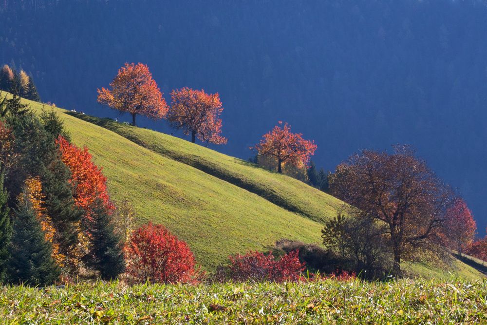 Herbstfarben