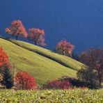 Herbstfarben