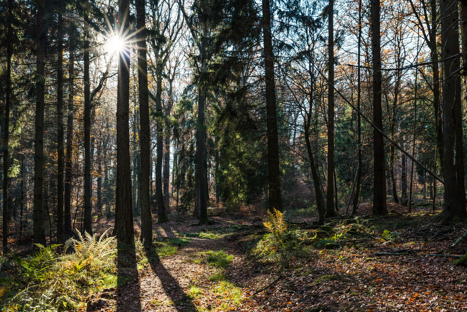 Herbstfarben