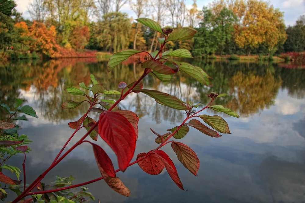 Herbstfarben