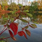 Herbstfarben