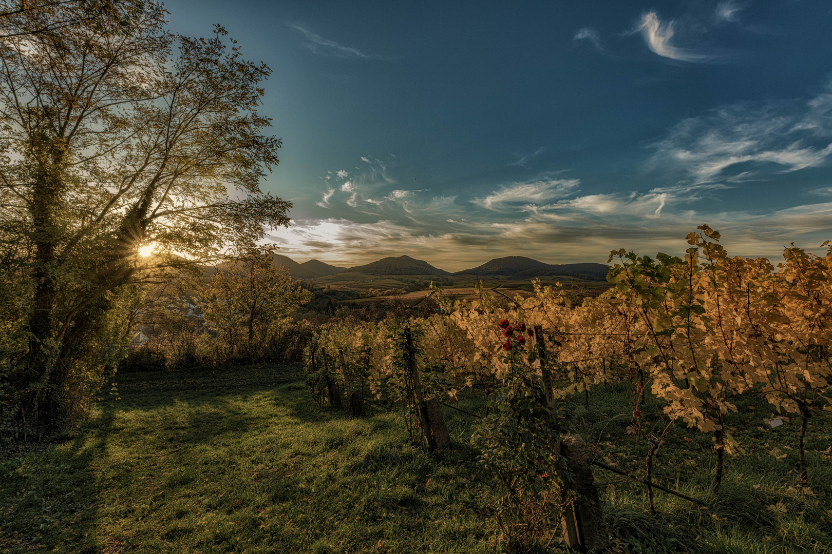 Herbstfarben