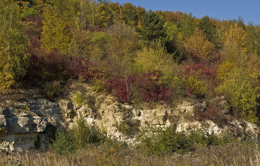 Herbstfarben