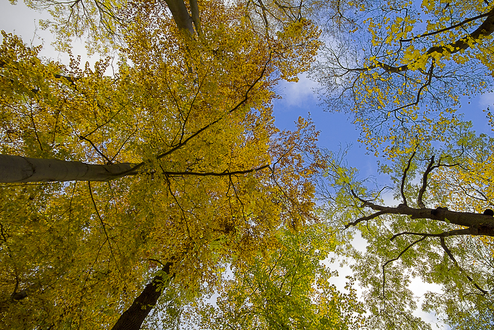 Herbstfarben