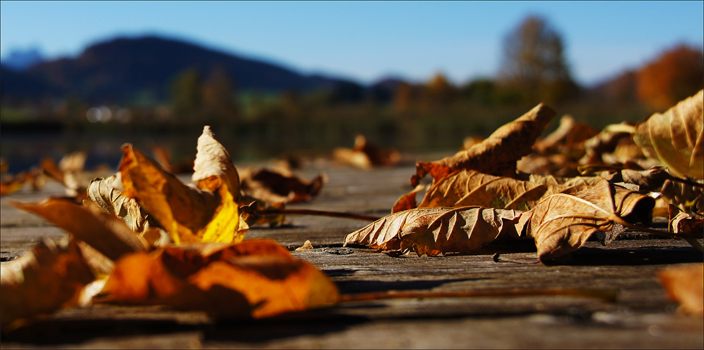 Herbstfarben