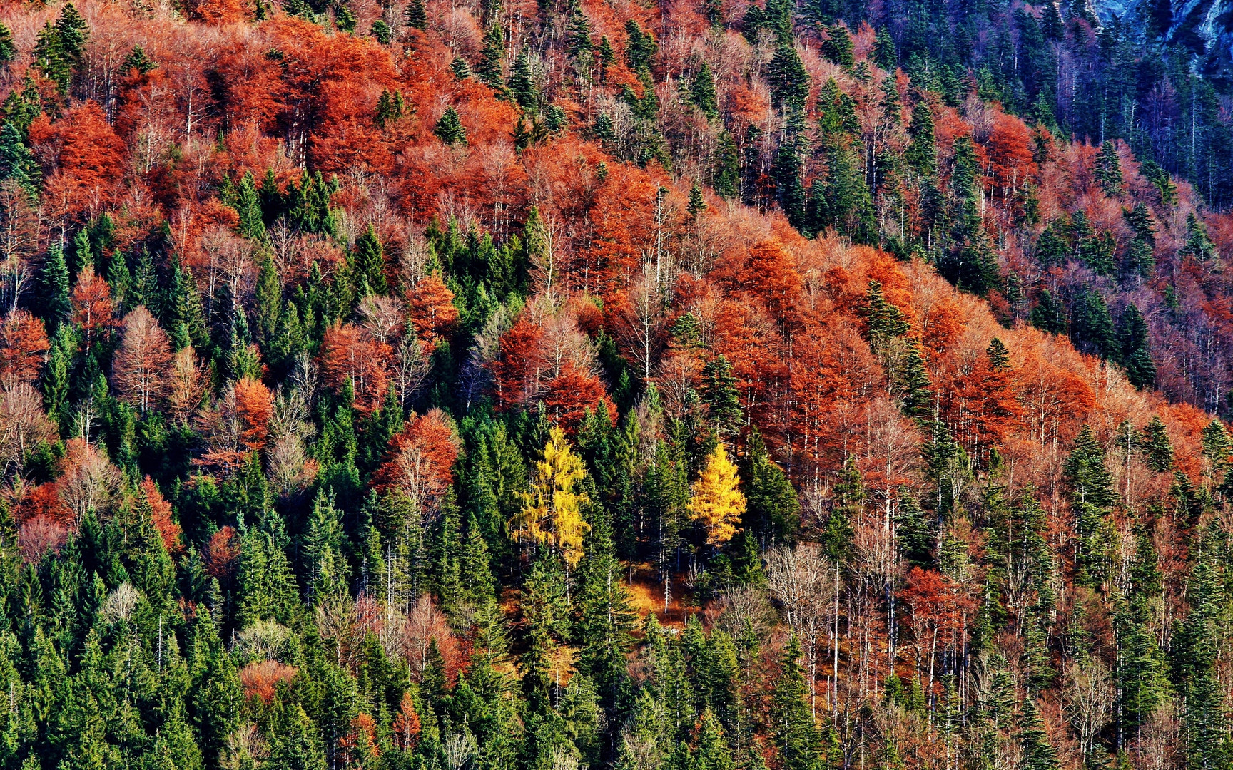 Herbstfarben