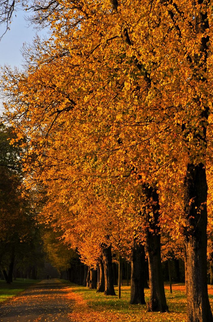 Herbstfarben